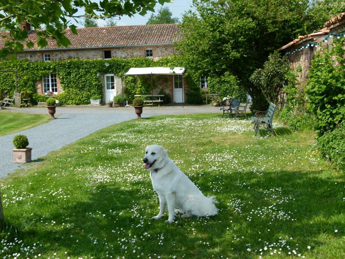Gites De L'Etang Des Noues Cholet Exterior photo